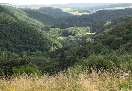 blick uebers alsbachtal